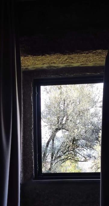 Casa Nova Das Oliveiras براغا المظهر الخارجي الصورة
